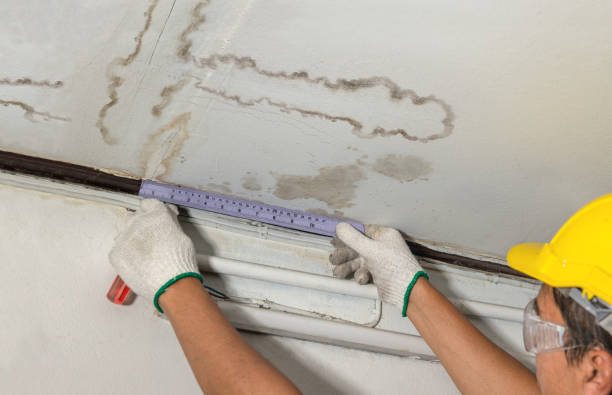 Reliable Burst Pipe Cleanup contractor in Mount Laurel, NJ by Water Damage Irwin